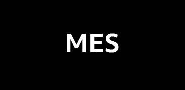 Logo MES